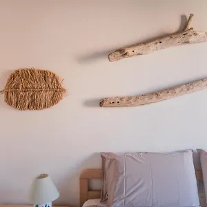 Cactus Mare Golfo Aranci
